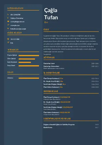 Ebe Cv Örnekleri cv indir